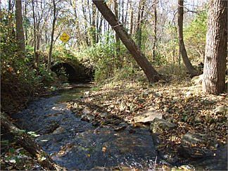 4th image of W594 Maug Rd