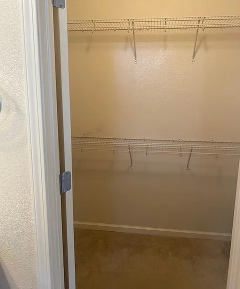 6517 Peppergrass Dr — Photo 16