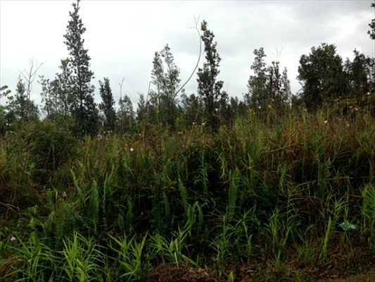 1st image of Ainaloa Dr Lot 52