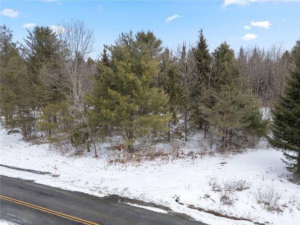LOT 7C Blackman Hill Rd #13, Berkshire, NY 13736