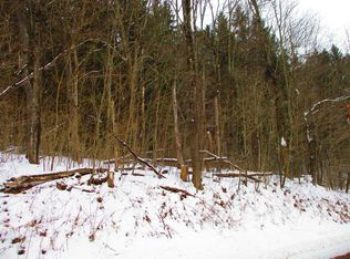 Smokey Ave, Schenevus, NY 12155