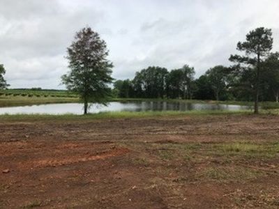 Hwy 23 Calhoun Street, Johnston, SC, 29832