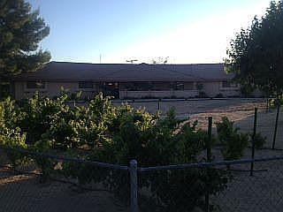 FRONT YARD WITH VINEYARD