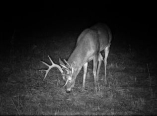 23607 Village Dr, Richland, MO 65556