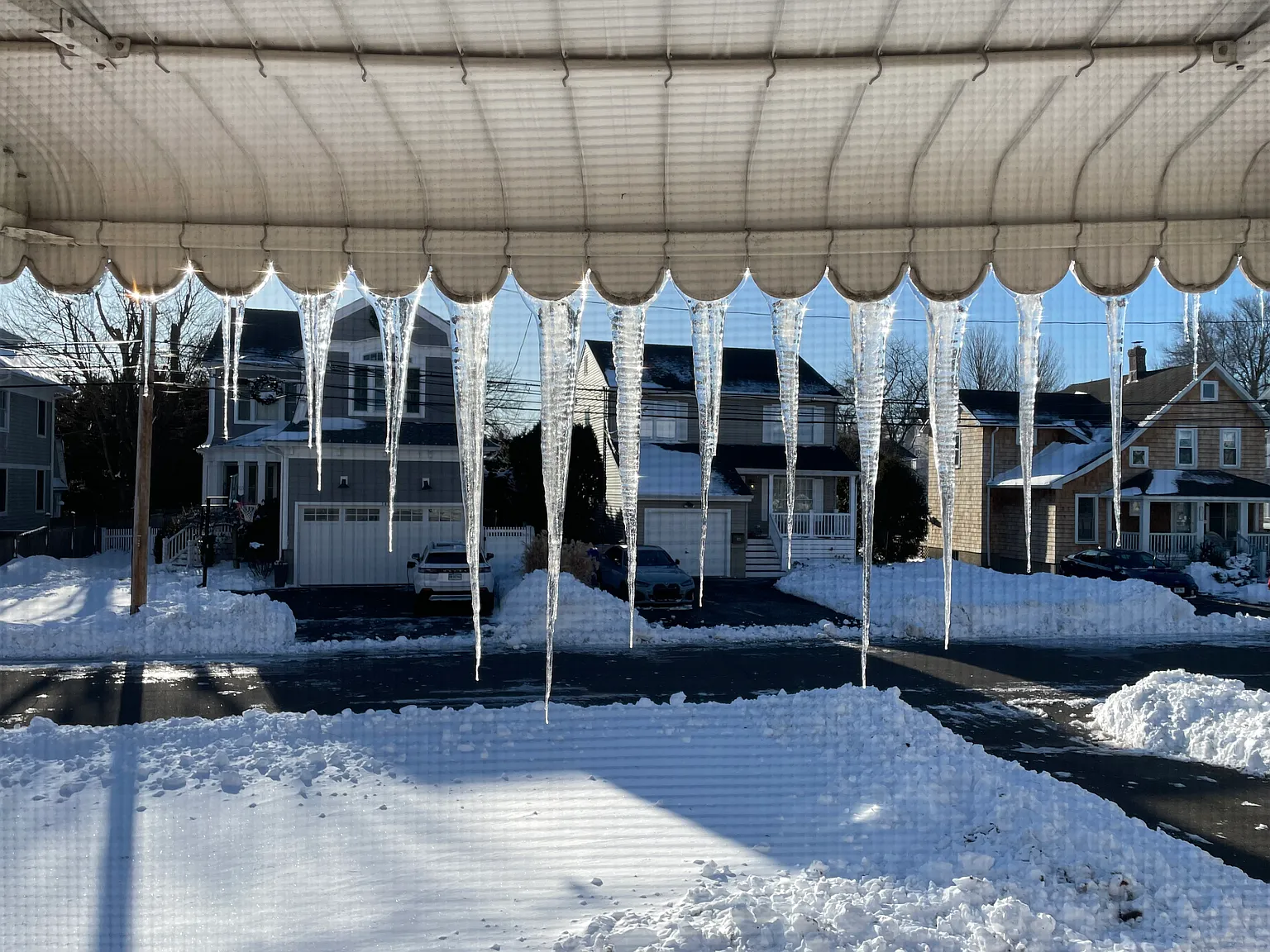 1 bed, 1488 sqft, $1,750 — Photo 3