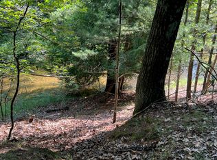 N Mac Rd, Irons, MI 49644