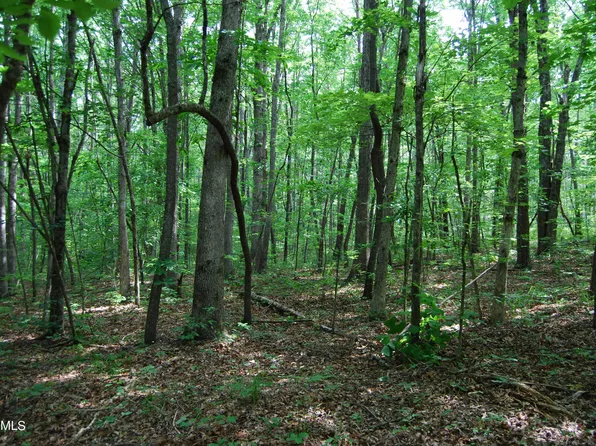 Westwind Rd, Pikeville, TN 37367
