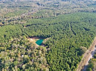 64 County Road 7755, Troy, AL 36081