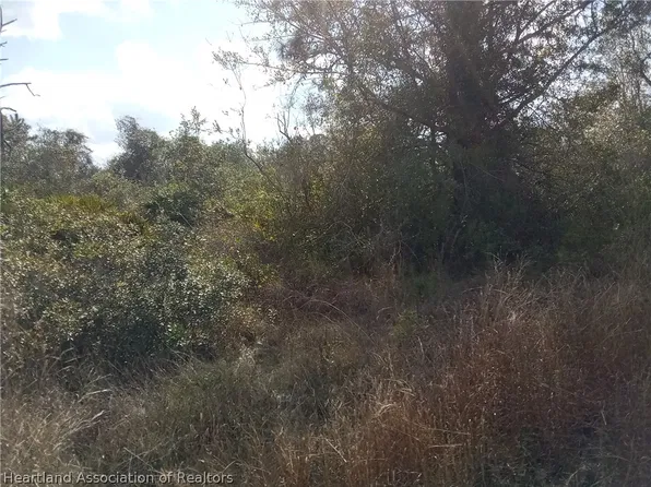 756 American St NW, Lake Placid, FL 33852