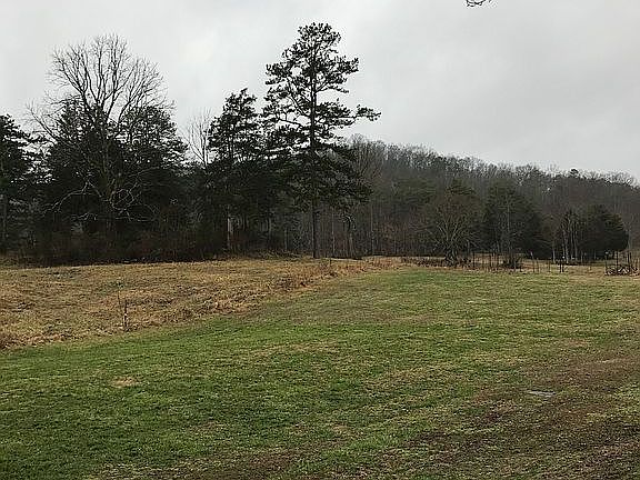 5 acres of beautiful land