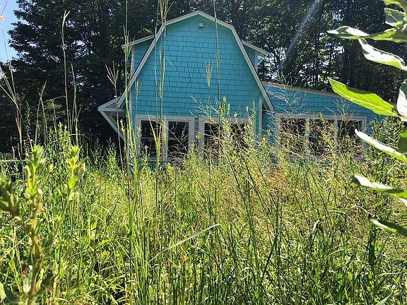 pollinator meadow