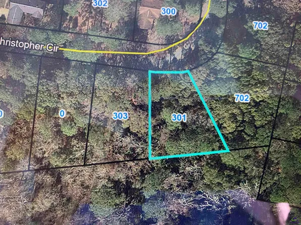 301 Christopher Cir, Montezuma, GA 31063