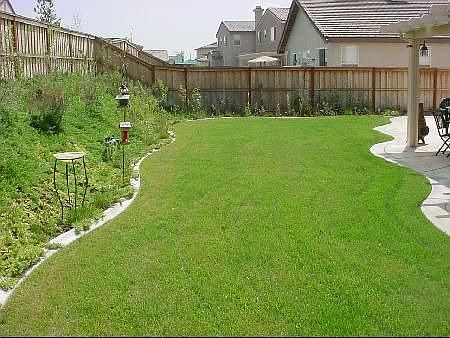 Large Backyard