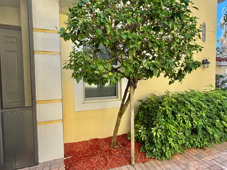 4381 Lazio Way #501 — Photo 44