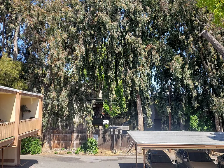 Stanford Garden Apartments — Photo 30