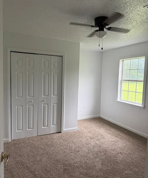420 Box Rd — Photo 7