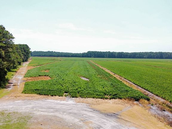 Dji Fly 20260813 135236 4 1786643757791 Photo Optimized