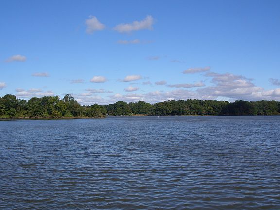 Broad Still Pond Creek