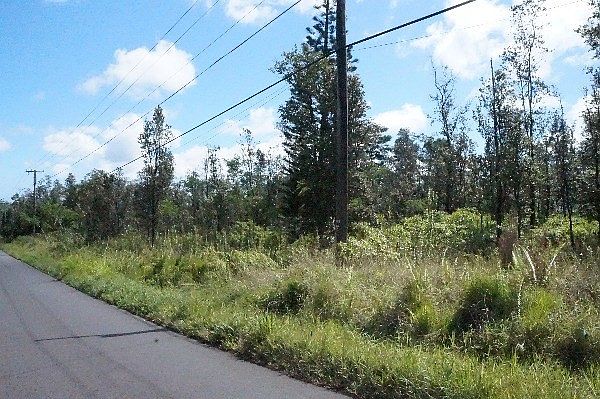 1st image of 16-403 Orchid Land Dr #4-E