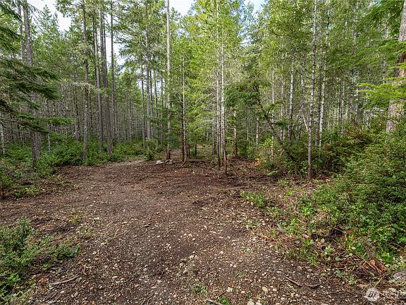 3rd image of 230 E Blackberry Lane