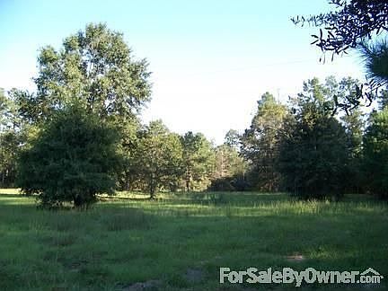 Front field with mature trees & pond