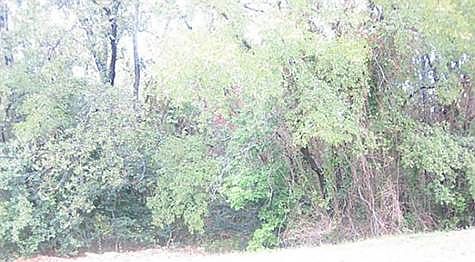 2nd image of 8817 Racquet Club Dr