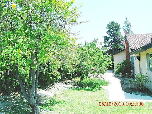 Grape Fruits, Pom, Tangello, Apricots, Peache