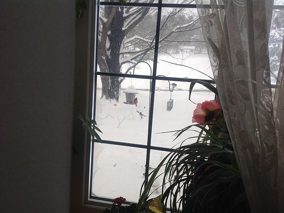 Family rm bay window 12 ft 