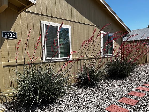 2nd image of 4732 E Camino St APT 1