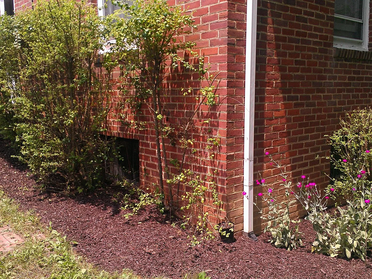 3 bed, 1.5 bath, 1226 sqft, $1,595 — Photo 3