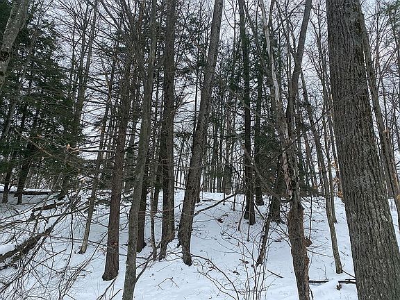 2nd image of 00 N Ogemaw Trail Parcel C