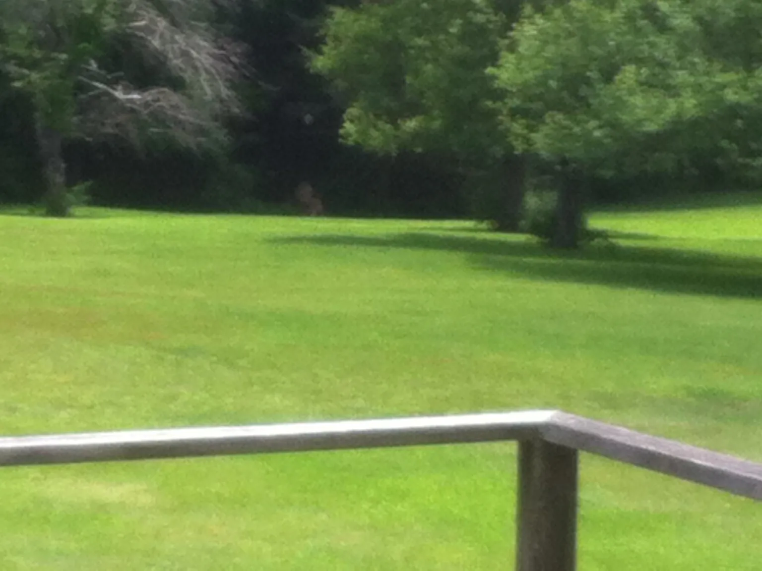 Spring Hill Rd, Storrs Mansfield — Photo 4