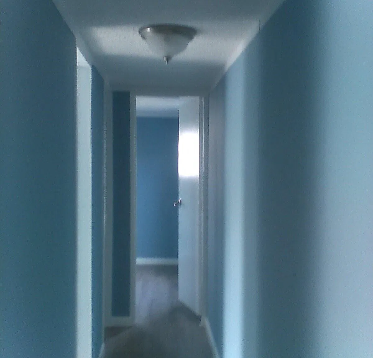 3 bed, 1200 sqft, $1,500 — Photo 4
