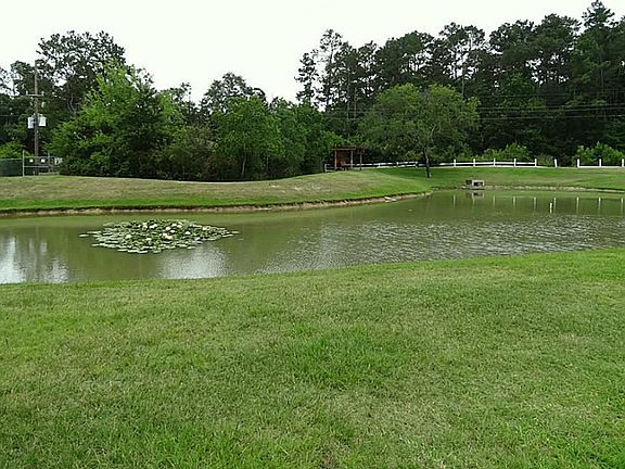  Behind the Rec Center, there is also a little pond as well with park benches and a grill area for its residents to enjoy.