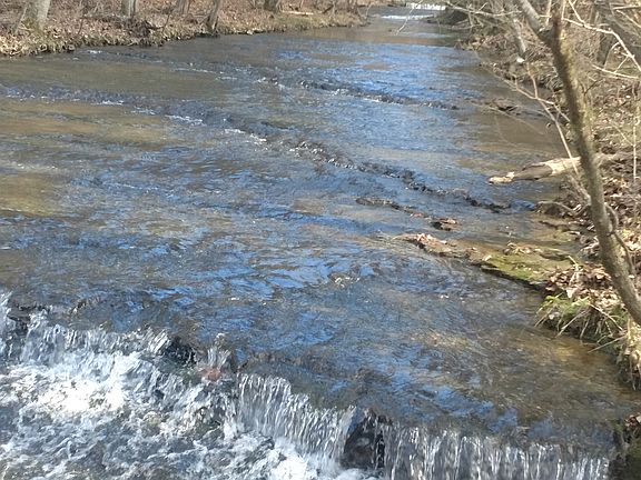 This would be your view.