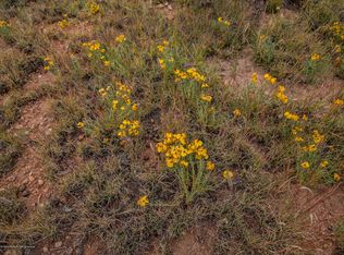 3846 S Duke St, Williams, AZ 86046