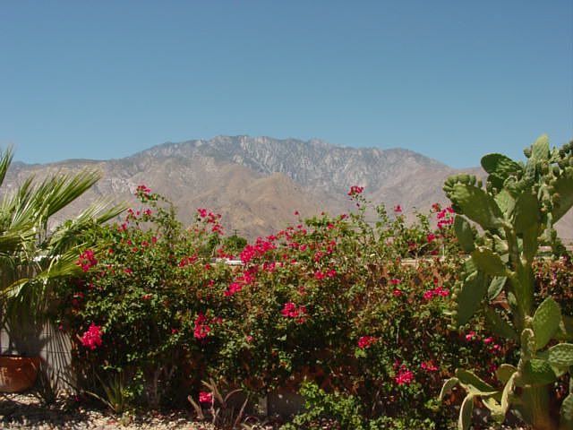 Mountain views, Village close!
