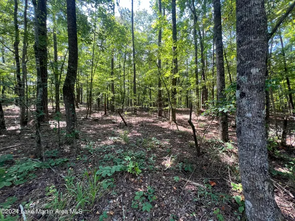 14 Stillwaters Dr, Dadeville, AL 36853
