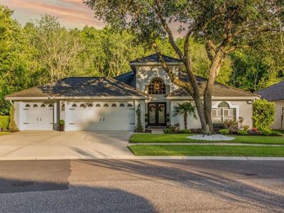 5502 Avenue Du Soleil, Lutz, FL, 33558