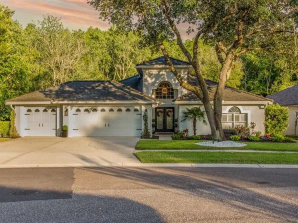 5502 Avenue Du Soleil, Lutz, FL 33558