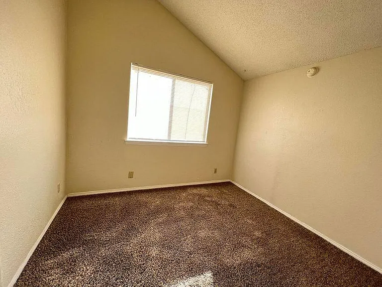 11812 Tracy Austin Ln — Photo 12