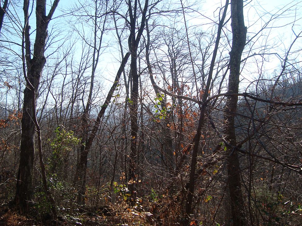 2nd image of 484 County Road