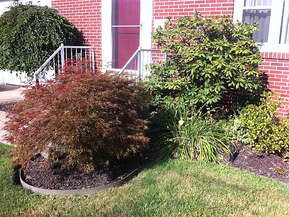 Front Landscaping