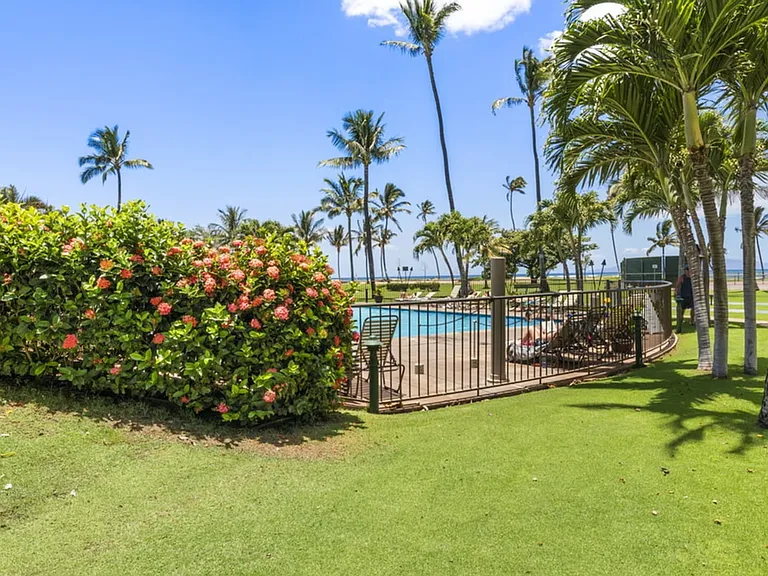 1032 S Kihei Rd #ID1035941P — Photo 39