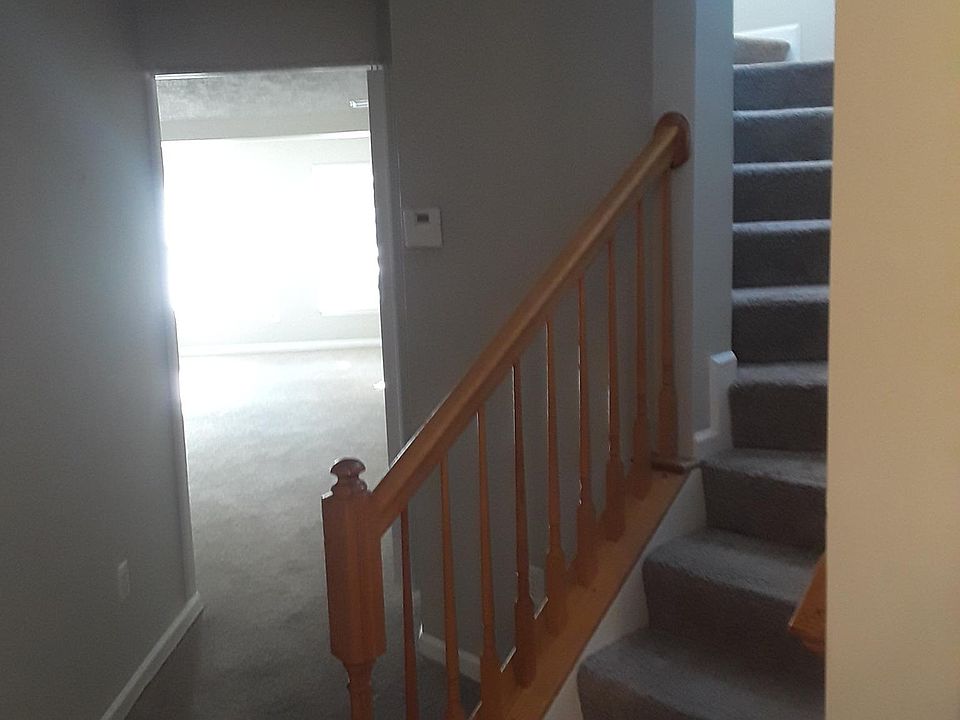 Light filled basement with walkout