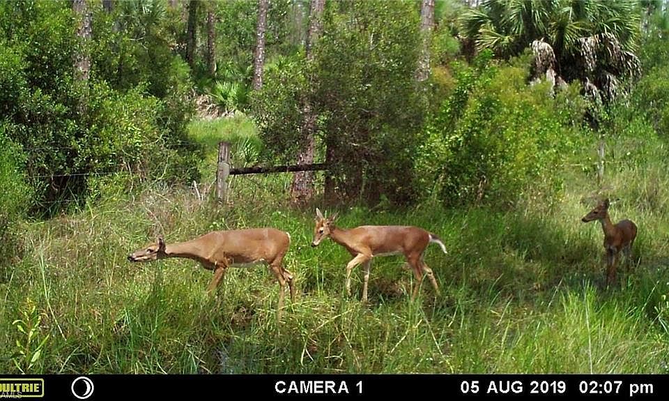 1st image of 19031/19051 Burgundy Farms Rd