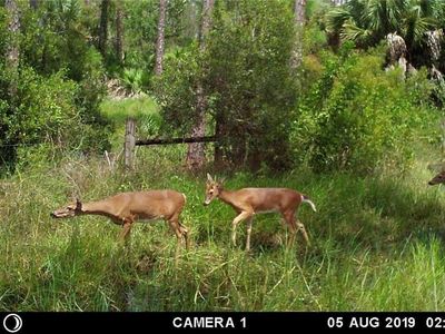 19031/19051 Burgundy Farms Rd, Estero, FL, 33928