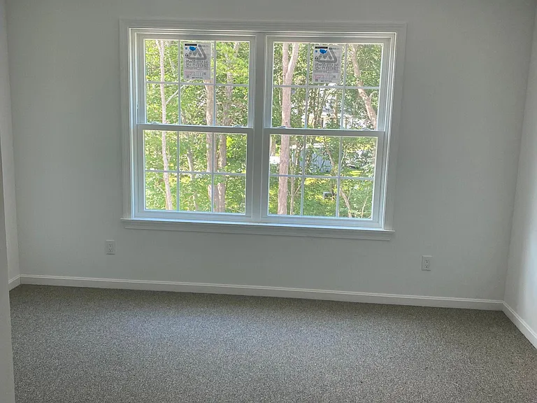 Primary bedroom windows