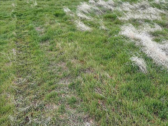 2nd image of Summitview 96th