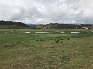 4664 311 County Rd, New Castle, CO 81647